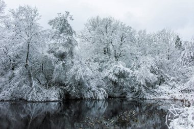 Bulgaristan 'ın Sofya kentindeki South Park manzarası şaşırtıcı.