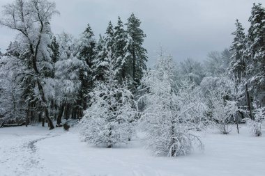 Bulgaristan 'ın Sofya kentindeki South Park manzarası şaşırtıcı.