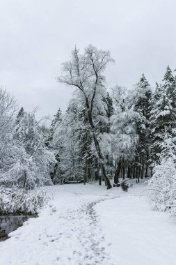 Bulgaristan 'ın Sofya kentindeki South Park manzarası şaşırtıcı.