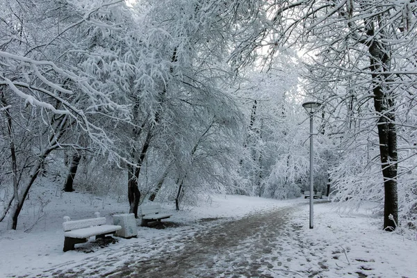 Καταπληκτική Θέα Χειμώνα Πανόραμα Του South Park Στην Πόλη Της — Φωτογραφία Αρχείου