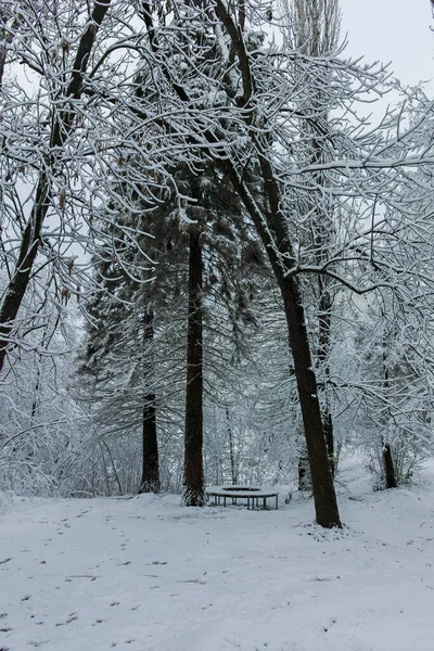 Fantastisk Vinter Utsikt Över South Park Staden Sofia Bulgarien — Stockfoto