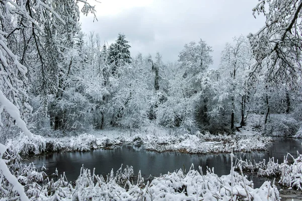 Amazing Winter Panorama Van South Park Stad Sofia Bulgarije — Stockfoto