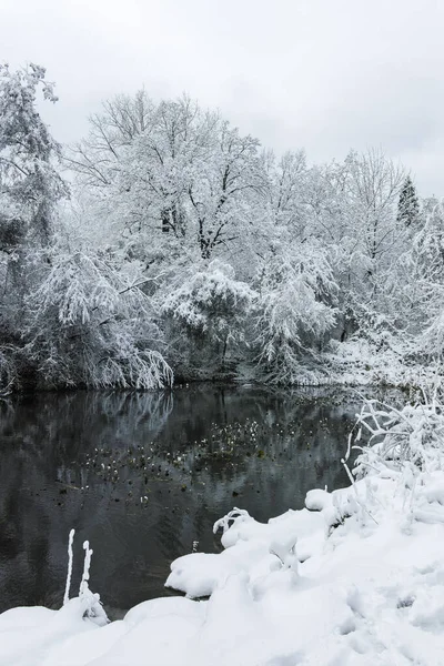 Niesamowita Panorama Parku Południowego Sofii Bułgaria — Zdjęcie stockowe