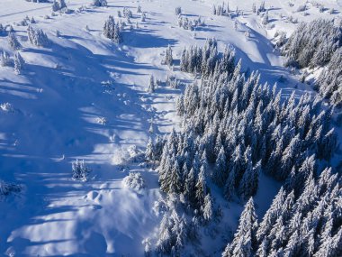 Bulgaristan 'ın Sofya Şehir Bölgesi, Vitosha Dağı' nın Hava Kış Manzarası
