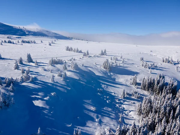 Zimowy Widok Lotu Ptaka Górę Vitosha Obwód Sofijski Bułgaria — Zdjęcie stockowe