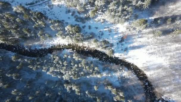 Flygfoto Vinter Utsikt Över Rila Mountain Nära Beli Iskar Floden — Stockvideo