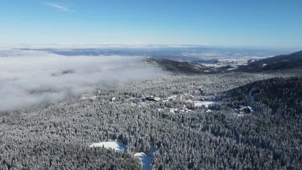 Vista Aerea Invernale Della Montagna Rila Vicino Alla Stazione Sciistica — Video Stock