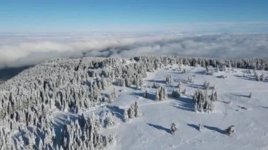 Bulgaristan 'ın Sofya Şehir Bölgesi, Vitosha Dağı' nın Hava Kış Manzarası
