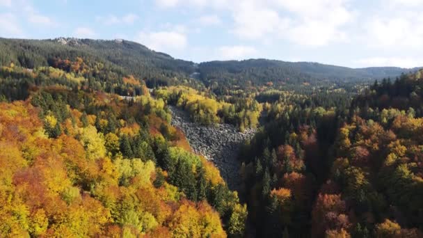 ブルガリア ソフィア市ヴィトシャ山の空中秋景色は ズラナイト モストーブ 黄金の橋 として知られています — ストック動画