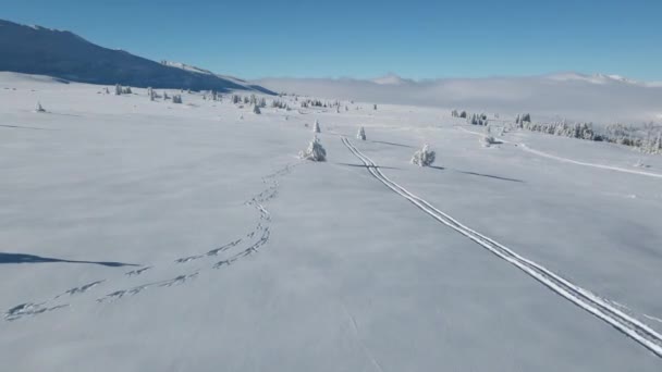 Letecký Zimní Pohled Horu Vitosha Sofijský Kraj Bulharsko — Stock video