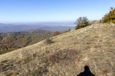 Bulgaristan 'ın Pernik Bölgesi Golemi zirvesi yakınlarındaki Erul dağının şaşırtıcı sonbahar manzarası