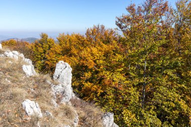 Bulgaristan 'ın Pernik Bölgesi Golemi zirvesi yakınlarındaki Erul dağının şaşırtıcı sonbahar manzarası