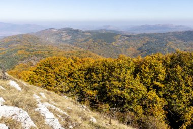 Bulgaristan 'ın Pernik Bölgesi Golemi zirvesi yakınlarındaki Erul dağının şaşırtıcı sonbahar manzarası