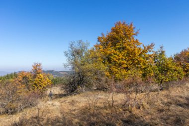 Bulgaristan 'ın Pernik Bölgesi Golemi zirvesi yakınlarındaki Erul dağının şaşırtıcı sonbahar manzarası