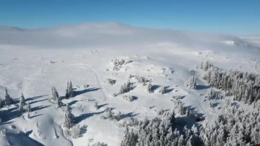 Bulgaristan 'ın Sofya Şehir Bölgesi, Vitosha Dağı' nın Hava Kış Manzarası