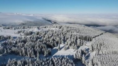 Bulgaristan 'ın Sofya Şehir Bölgesi, Vitosha Dağı' nın Hava Kış Manzarası