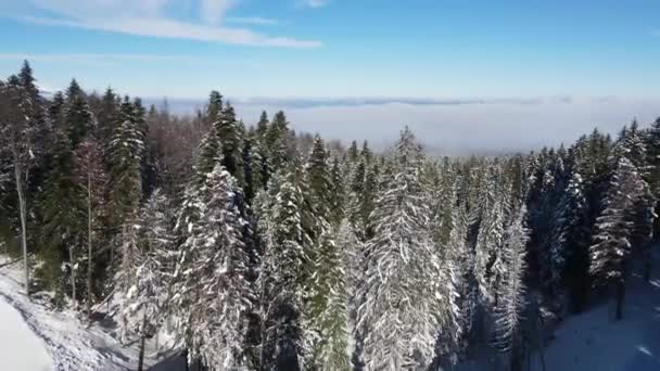 Vue Aérienne Hiver Montagne Rila Près Station Ski Borovets Région — Video