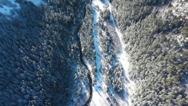 Pemandangan Musim Dingin Udara Gunung Rila Dekat Sungai Beli Iskar — Stok Video