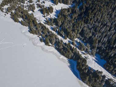 Bulgaristan 'ın Buzdan Pazardzhik Bölgesi ile kaplı Bekika Barajı' nın kış manzarası