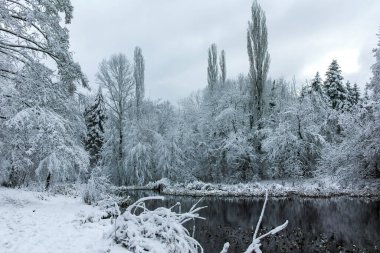 Bulgaristan 'ın Sofya kentindeki South Park' ın şaşırtıcı kış manzarası