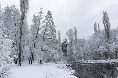 Bulgaristan 'ın Sofya kentindeki South Park' ın şaşırtıcı kış manzarası