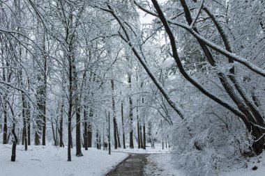 Bulgaristan 'ın Sofya kentindeki South Park' ın şaşırtıcı kış manzarası