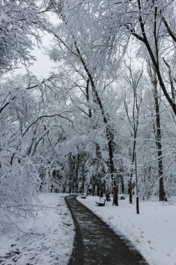 Bulgaristan 'ın Sofya kentindeki South Park' ın şaşırtıcı kış manzarası