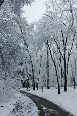 Bulgaristan 'ın Sofya kentindeki South Park' ın şaşırtıcı kış manzarası