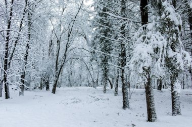 Bulgaristan 'ın Sofya kentindeki South Park' ın şaşırtıcı kış manzarası