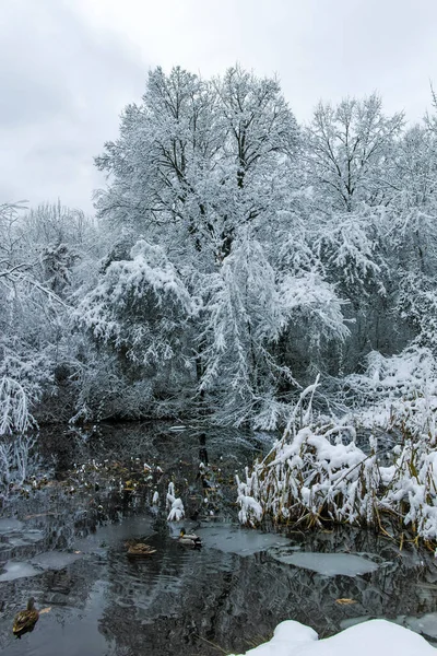 Incrível Vista Inverno South Park Cidade Sofia Bulgária — Fotografia de Stock