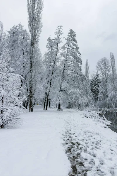 Fantastisk Vinter Utsikt Över South Park Staden Sofia Bulgarien — Stockfoto