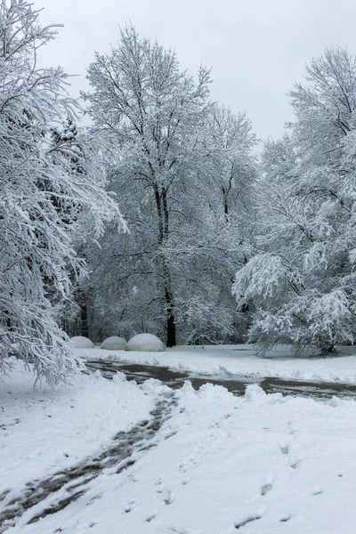 Incrível Vista Inverno South Park Cidade Sofia Bulgária — Fotografia de Stock