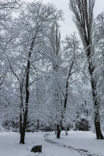 Fantastisk Vinter Utsikt Över South Park Staden Sofia Bulgarien — Stockfoto