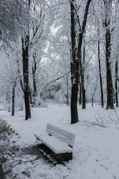 Удивительный Зимний Вид Южного Парка Городе София Болгария — стоковое фото