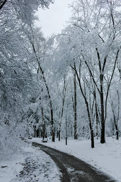 Bulgaristan 'ın Sofya kentindeki South Park' ın şaşırtıcı kış manzarası