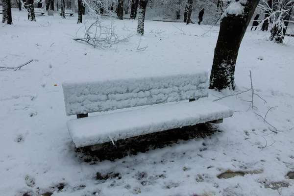 保加利亚索菲亚市南部公园令人惊奇的冬季景色 — 图库照片