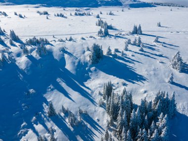 Bulgaristan 'ın Sofya Şehir Bölgesi, Vitosha Dağı' nın Hava Kış Manzarası