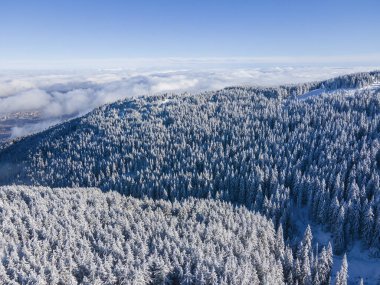 Bulgaristan 'ın Sofya Şehir Bölgesi, Vitosha Dağı' nın Hava Kış Manzarası