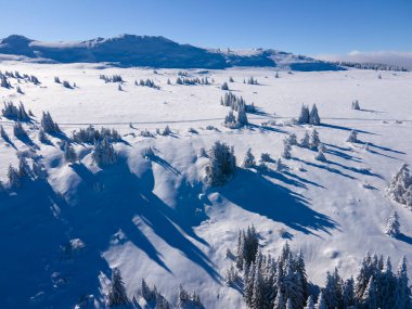 Bulgaristan 'ın Sofya Şehir Bölgesi, Vitosha Dağı' nın Hava Kış Manzarası