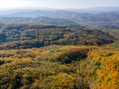 Bulgaristan 'ın Pernik Bölgesi, Kamenititsa zirvesi yakınlarındaki Erul dağının şaşırtıcı sonbahar manzarası