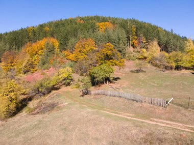 Bulgaristan 'ın Pernik Bölgesi, Kamenititsa zirvesi yakınlarındaki Erul dağının şaşırtıcı sonbahar manzarası