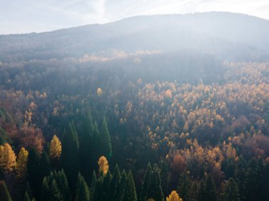 Osogovo Dağı 'nın hava manzarası, Kyustendil bölgesi, Bulgaristan