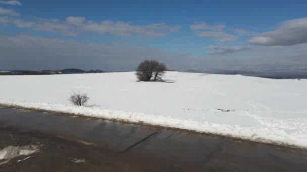 Летний Вид Гору Люлин Покрытую Снегом Софийский Район Болгария — стоковое видео