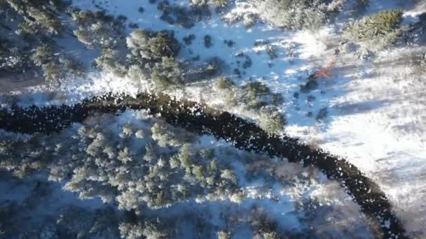 Зимний Вид Высоты Птичьего Полета Гору Рила Возле Реки Бели — стоковое видео