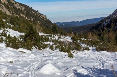 Bulgaristan 'ın Malyovitsa zirvesi yakınlarındaki Rila Dağı' nın şaşırtıcı kış manzarası