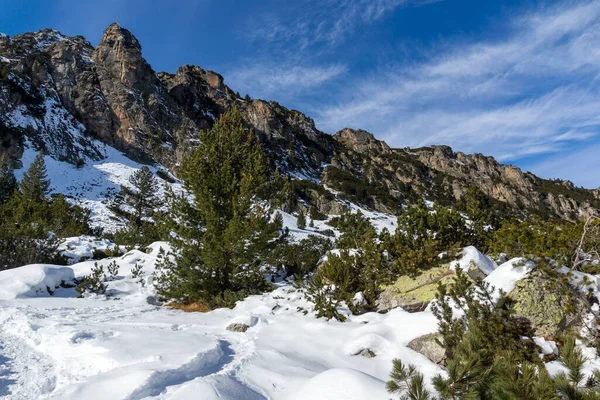 Increíble Paisaje Invernal Montaña Rila Cerca Del Pico Malyovitsa Bulgaria — Foto de Stock