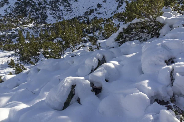 Úžasná Zimní Krajina Rila Mountain Blízkosti Vrcholu Malyovitsa Bulharsko — Stock fotografie