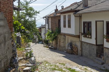 19. yüzyıldan kalma otantik evleri olan Delchevo köyü, Blagoevgrad bölgesi, Bulgaristan