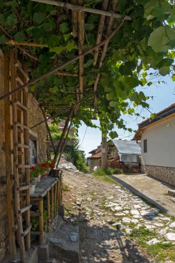 19. yüzyıldan kalma otantik evleri olan Delchevo köyü, Blagoevgrad bölgesi, Bulgaristan