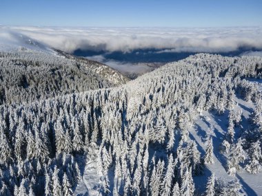 Bulgaristan 'ın Sofya Şehir Bölgesi, Vitosha Dağı' nın Hava Kış Manzarası